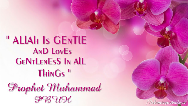 Allah is gentle and loves gentleness in all things. [ Prophet Muhammad PBUH ]