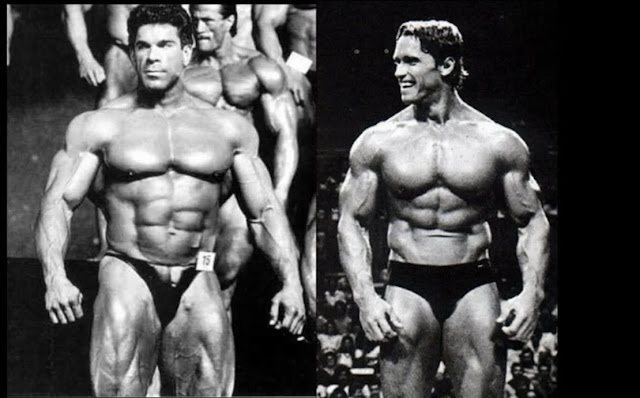 Arnold Schwarzenegger vs. Lou Ferrigno: Unraveling the Secrets of Their Success