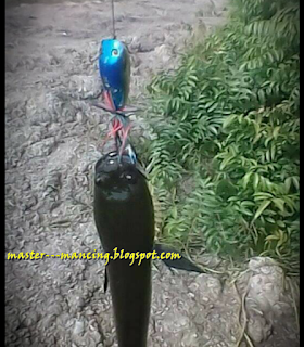 Mancing Cesting, Bagaimana Trik Dan Cara Yang Baik