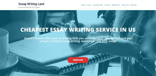 essaywritingland review