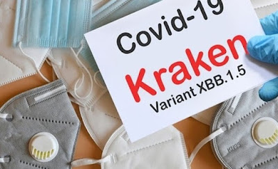 Covid Varian Kraken Masuk ke Indonesia