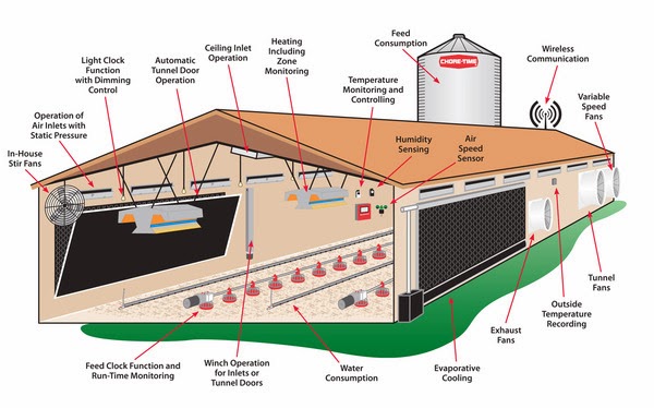 When planning out your Hens house, always remember that space is very ...