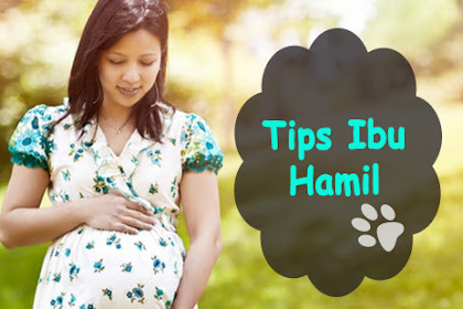 Tips Sehat Untuk Ibu Hamil