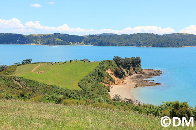 Photo Rotoroa Auckland Nouvelle-Zélande