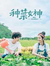 My Goddess Taiwan Drama