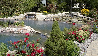 Integrity landscape installed water feature and plantings