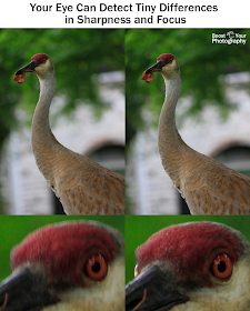 Your eye can detect tiny differences in sharpness and focus | Boost Your Photography