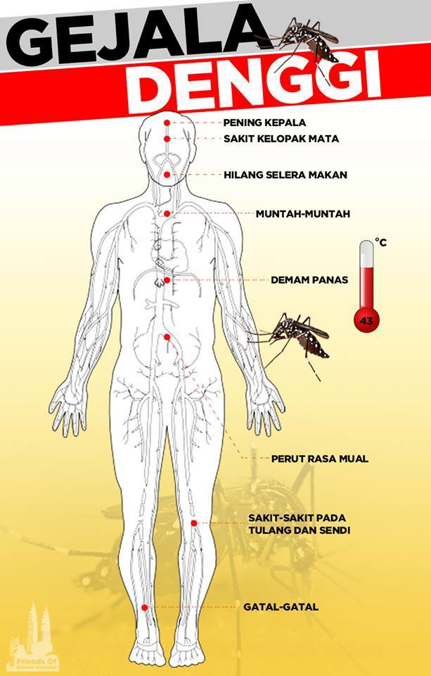 Cara-cara merawat demam denggi ~ sayidahnapisahdotcom