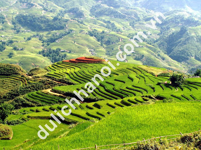 anh trong tour sapa