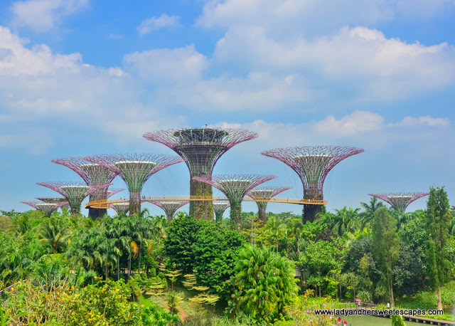 Supertrees in Singapore