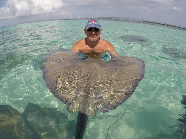 Ron with stingray