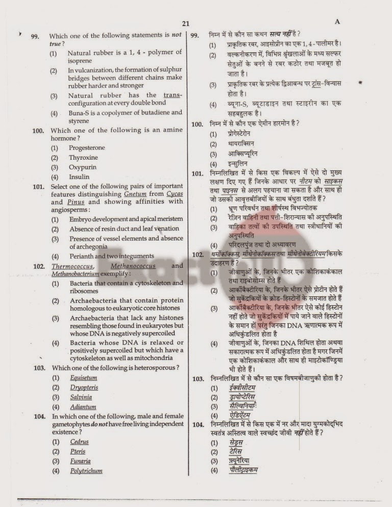 AIPMT 2008 Question Paper Page 21