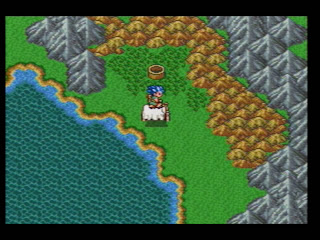 Oh, and wells. Though those are pretty Dragon Quest VI-specific.