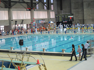   piscine amberieu, club natation amberieu en bugey, horaire piscine saint vulbas, pisciniste amberieu en bugey, syndicat mixte amberieu en bugey, piscine bourg en bresse, piscine meximieux, piscine ain, piscine oyonnax