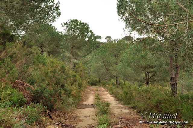 Sendero La Teja