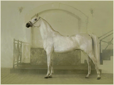 horse artworks - desktop horse wallpapers