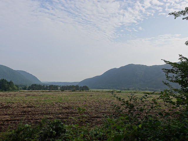 香取の牧草地