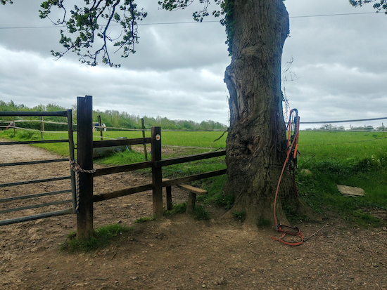 Sarratt footpath 24 heading SSE