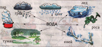 Вода-основа жизни - В каких состояниях бывает вода?