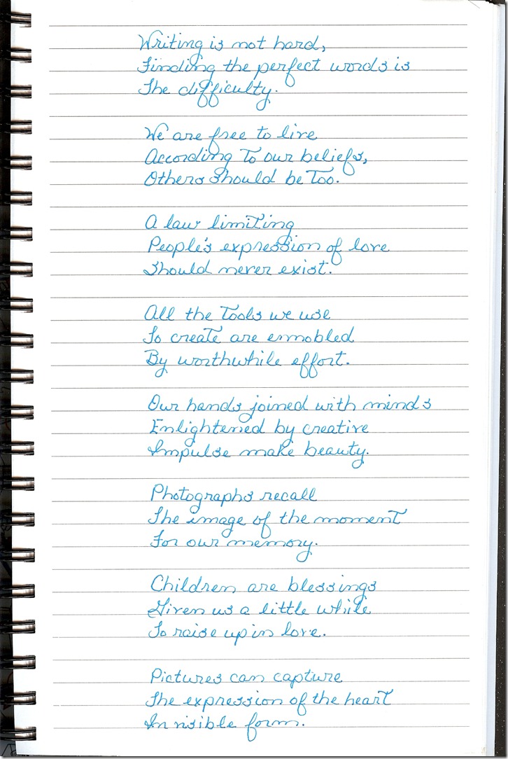 Journal 2-25-20120002