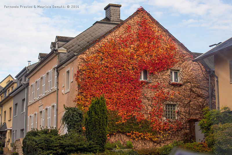 casa coberta de folhas do outono