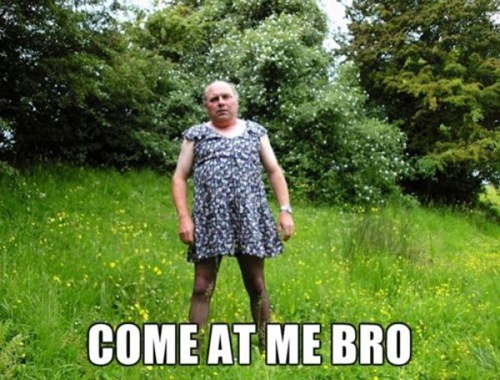 come at me bro