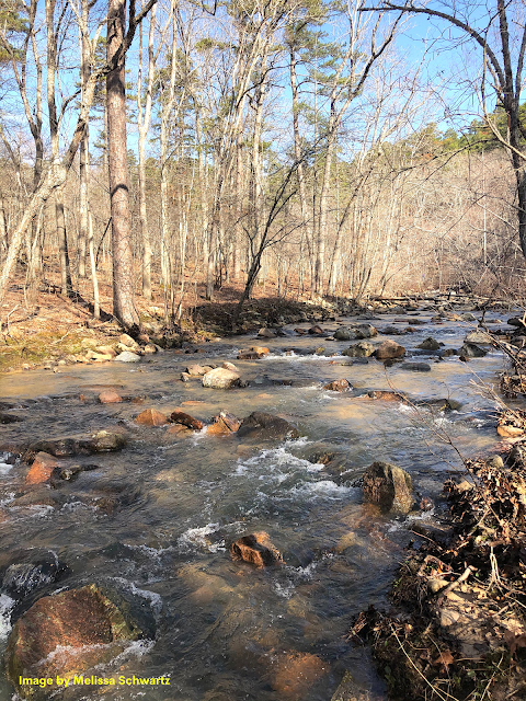 Pickle Creek rushes over boulders creating a remarkable landscape.