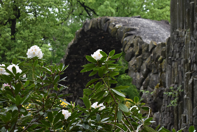 Park Rododendronów w Kromlau