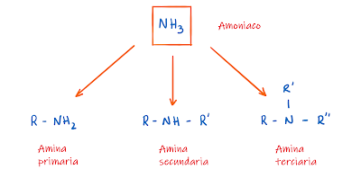 Aminas