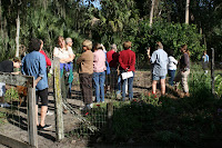 Cross Creek veggie garden