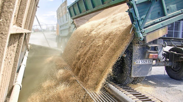 Ukraine grain export