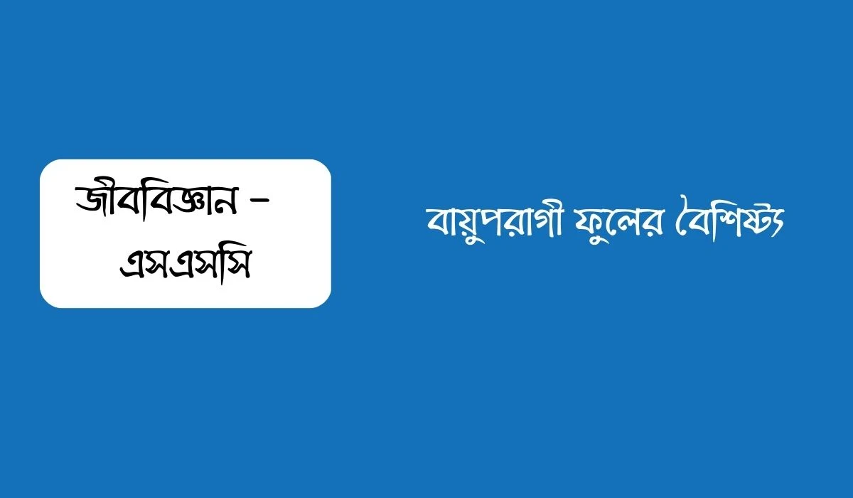 বায়ুপরাগী ফুলের বৈশিষ্ট্য