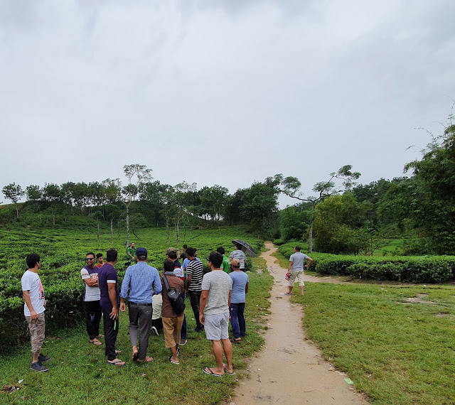 Lakkatura tea garden