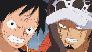 ワンピースアニメ ドレスローザ編 696話 トラファルガー・ロー ルフィ Monkey D. Luffy | ONE PIECE Episode 696