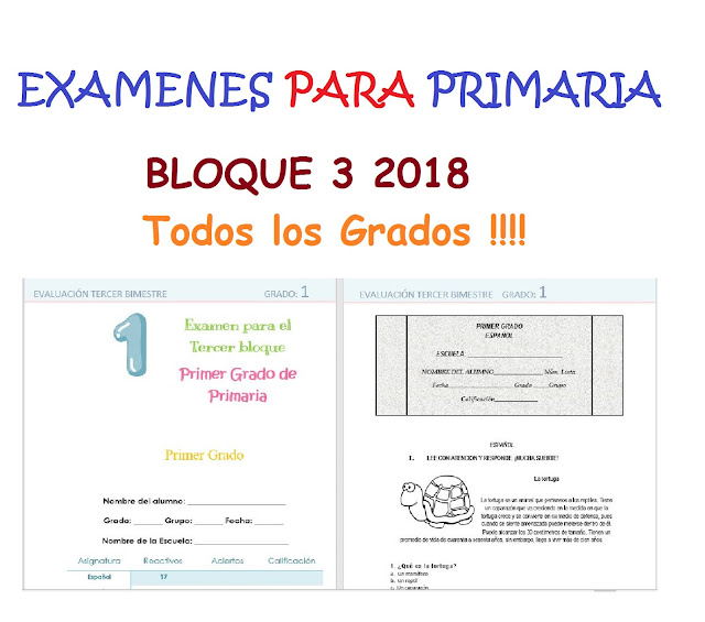 Exámenes de Primaria Bloque 3 con Respuestas Contestadas