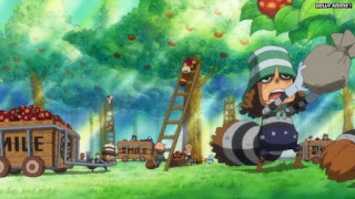 ワンピースアニメ ドレスローザ編 672話 小人族 Dwarves トンタッタ Tontatta | ONE PIECE Episode 672