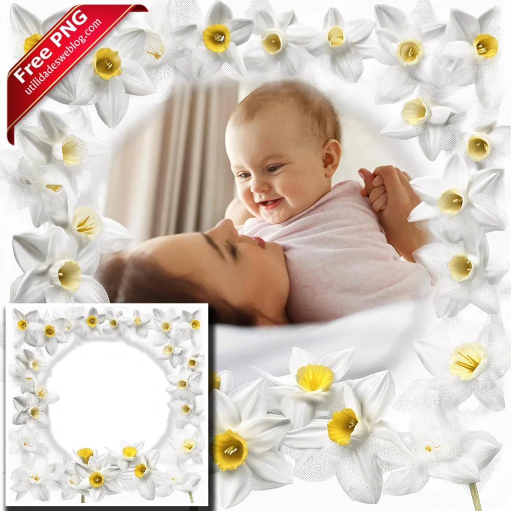 marco para fotos con flores de daffodil o narcisos blancos en png con fondo transparente para descargar gratis