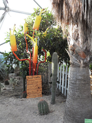 Catalytic Coverter at Eden Project