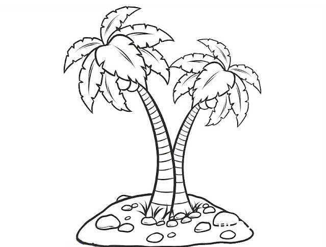 Manggambar sketsa pohon kelapa