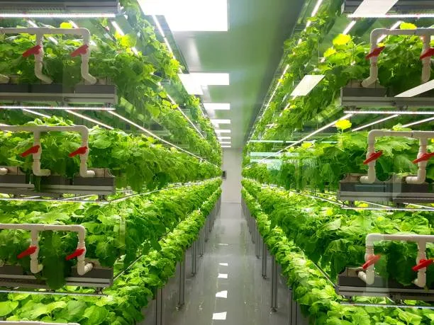 What are the vertical farming fatal flaw?