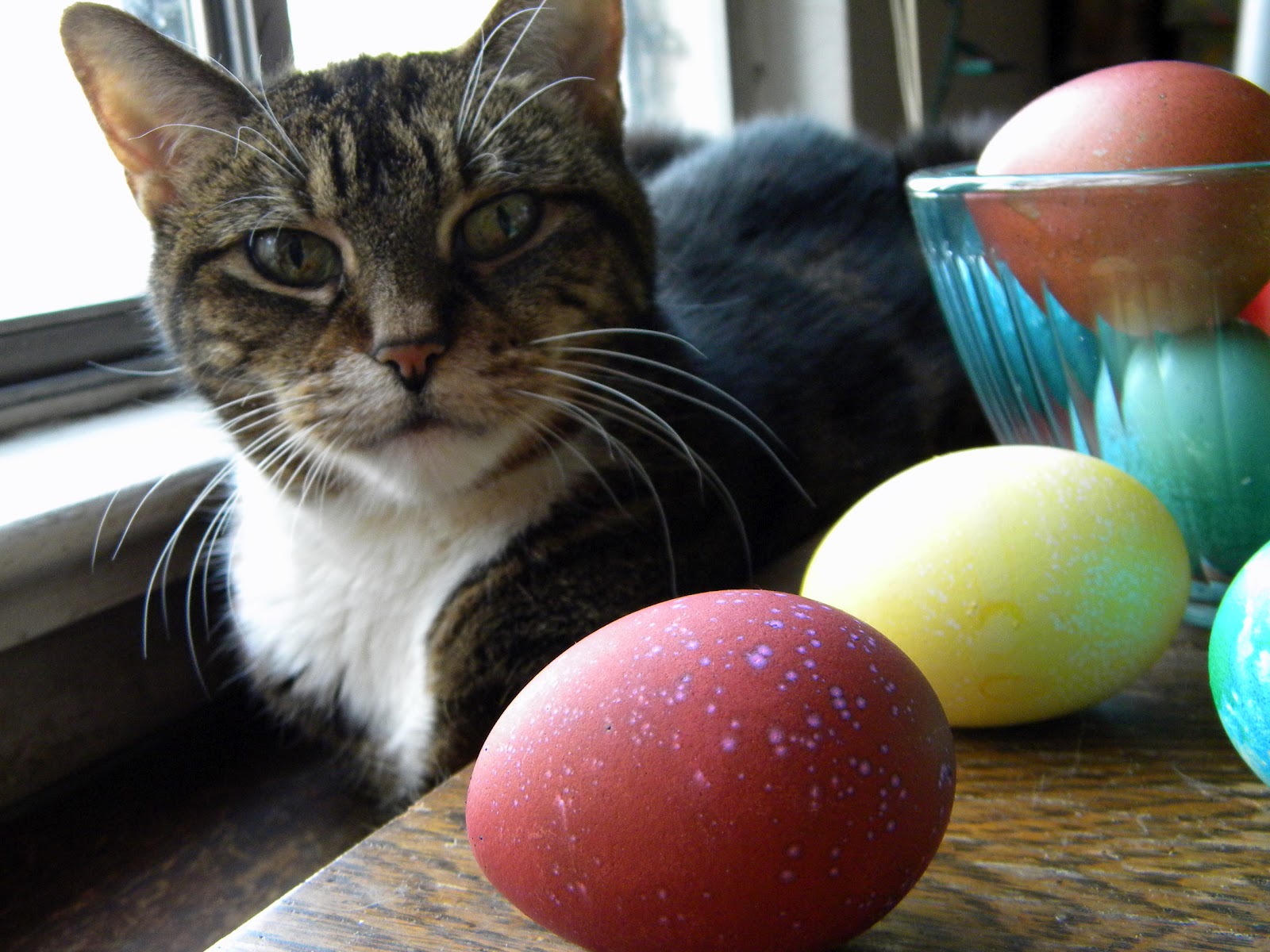 Mystery Lovers' Kitchen: Easter Recipes Roundup (Cat ...