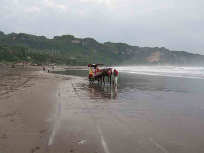 Pantai Parangtritis, Jasa Kuda di Pantai Parangtritis