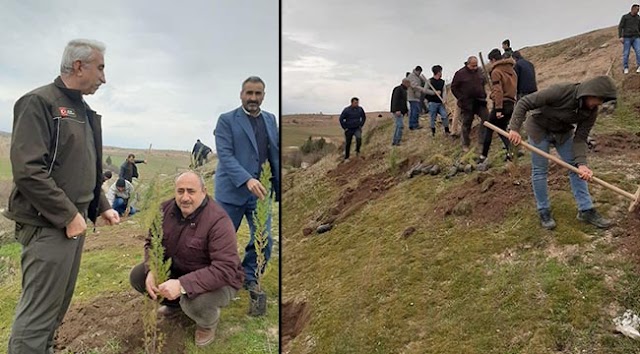 Arıkök Köyünde Fidan Dikme Seferberliği