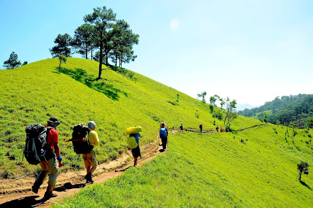 ta-nang-phan-dung-vietnam