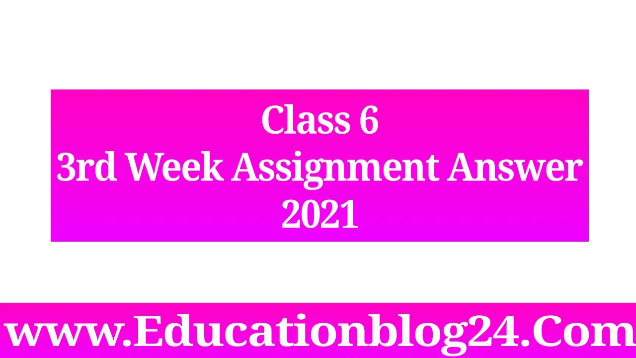 Class 6 assignment 2021 3rd week answer   |  ৬ষ্ট/ষষ্ঠ শ্রেণির ৩য় অ্যাসাইনমেন্ট উত্তর ২০২১