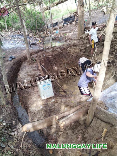 malunggay-life-moringa-farm