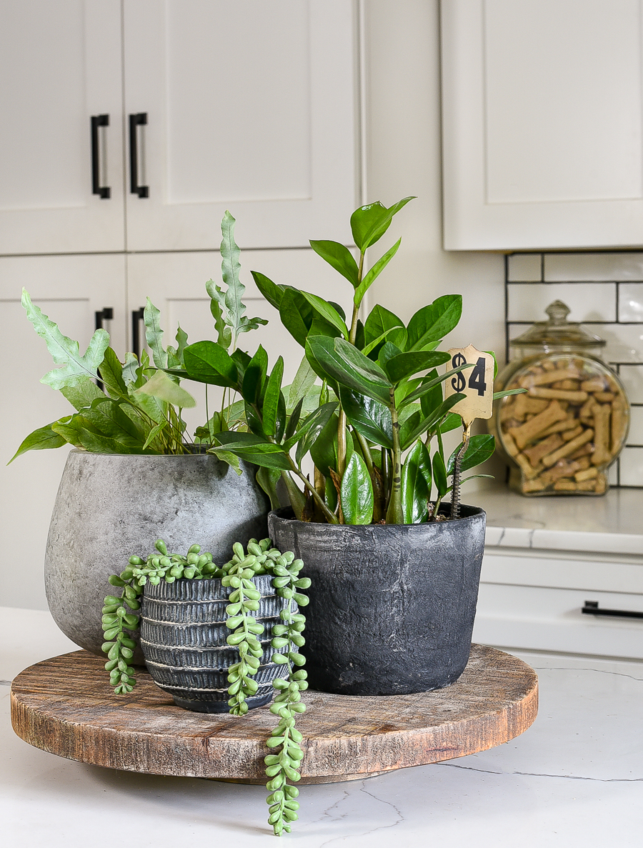 decorate kitchen counters with plants