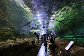 SEA LIFE Sydney Aquarium