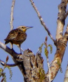 P1040394