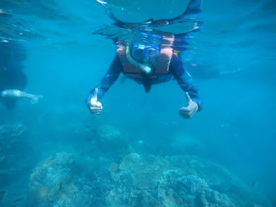 Snorkeling, spot snorkeling, jogja, snorkeling di jogja, snorkeling terbaik di jogja, yogyakarta, pantai, pantai indah, pantai indah di jogja, pantai drini, gambar pantai drini, gambar snorkeling di pantai drini, snorkeling di pantai drini